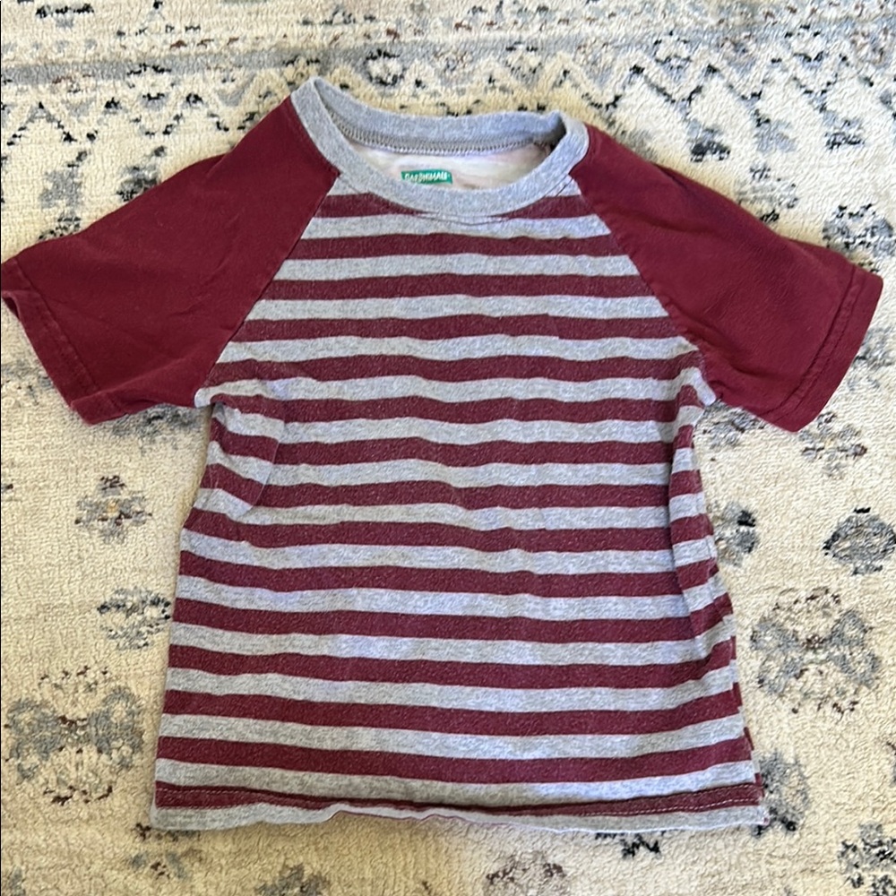 Striped Kids Raglan T-Shirt